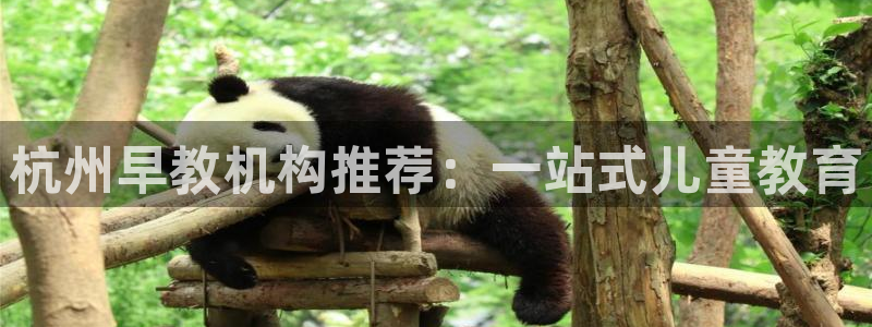 恒行开户娱乐6ll5l特惠:杭州早教机构推荐:一站式儿童教育