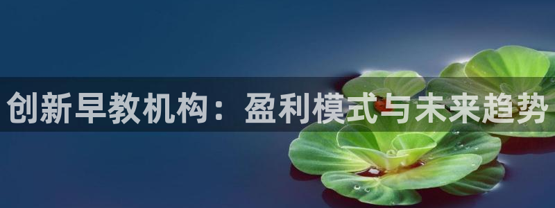 恒指5行情 如来再我心：创新早教机构：盈利模式与未来趋势