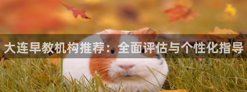 恒行主管总代6ll5l周至：大连早教机构推荐：全面评估与个性化指导