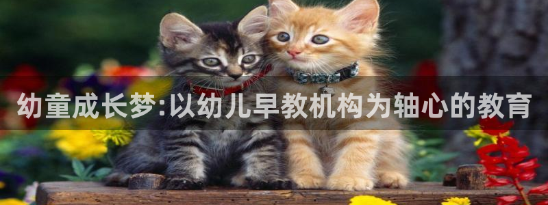 恒行主管首问6ll5l：幼童成长梦:以幼儿早教机构为轴心的教育