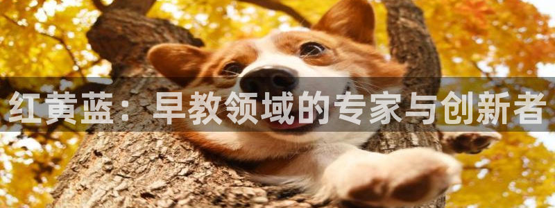 恒行主管首问6ll5l：红黄蓝：早教领域的专家与创新者