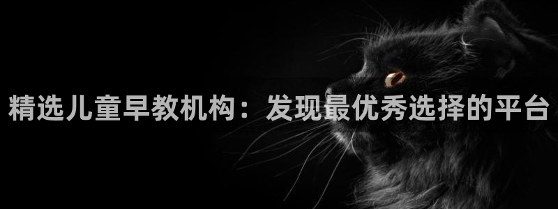 恒行娱乐登录5ll533主管一流：精选儿童早教机构：发现最优秀选择的平台
