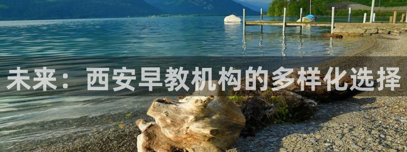 恒行3乃5O6917：未来：西安早教机构的多样化选择