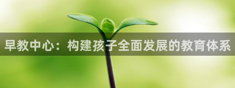 恒行注册招收6ll5l指定：早教中心：构建孩子全面发展的教育体系