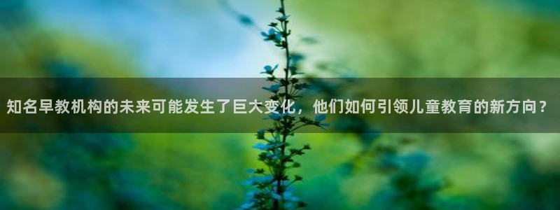 恒行3乃5O6917：知名早教机构的未来可能发生了巨大变化，他们如何引领儿童教育
