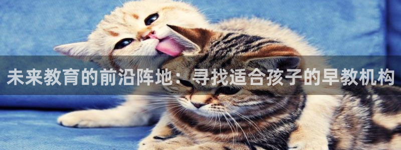恒行娱乐郑74OOO5：未来教育的前沿阵地：寻找适合孩子的早教机构