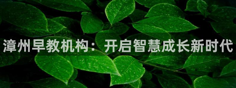 恒行娱乐5ll533主管优雅：漳州早教机构：开启智慧成长新时代