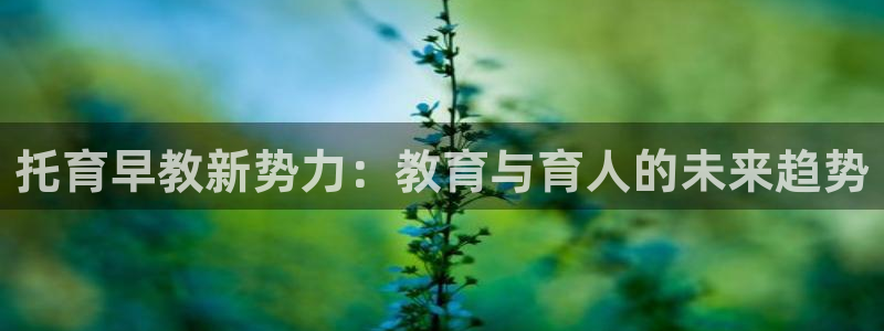 恒行2下74OO5：托育早教新势力：教育与育人的未来趋势