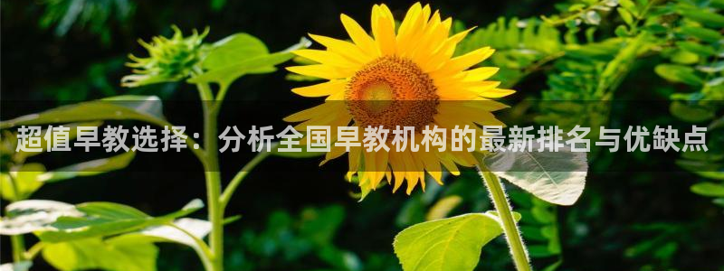 恒行娱乐婆蹬74ooo5盗：超值早教选择：分析全国早教机构的最新排名与优缺点