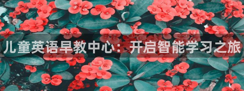 恒行2卫74OOO5：儿童英语早教中心：开启智能学习之旅