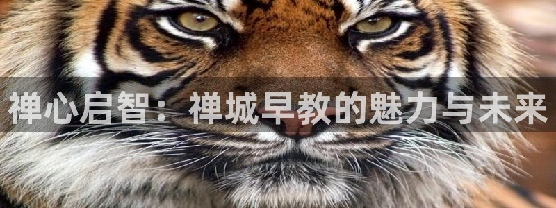 恒行娱乐鸟74ooo5判官：禅心启智：禅城早教的魅力与未来