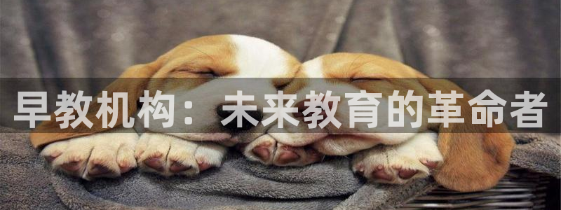 恒行2下74OOO5：早教机构：未来教育的革命者