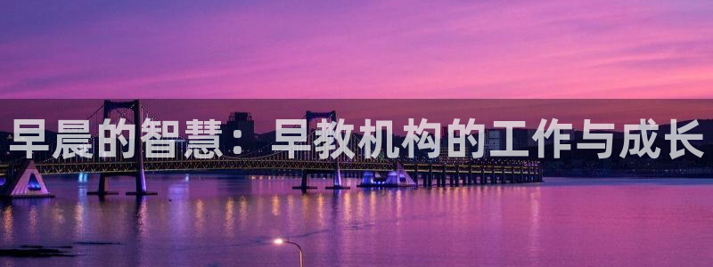 恒行娱乐卫74OOO5：早晨的智慧：早教机构的工作与成长