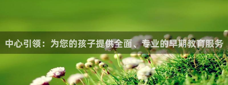 恒行注册全2O5O5O：中心引领：为您的孩子提供全面、专业的早期教育服务