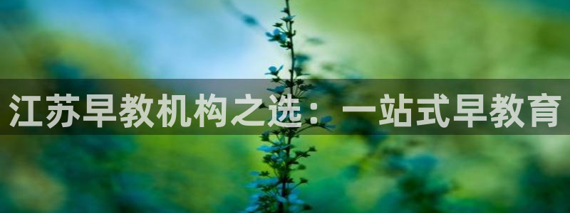 恒行2下74OOO5：江苏早教机构之选：一站式早教育