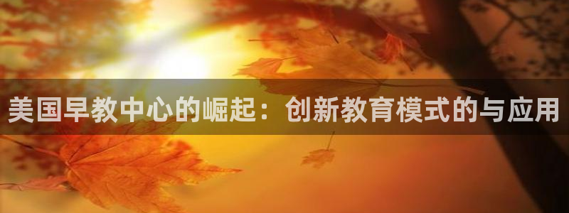 恒行娱乐寻问74 5：美国早教中心的崛起：创新教育模式的与应用