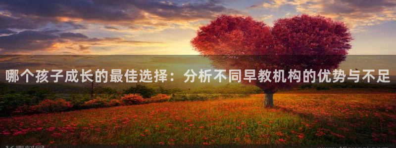恒行娱乐5ll533主管正直：哪个孩子成长的最佳选择：分析不同早教机构的优势与不