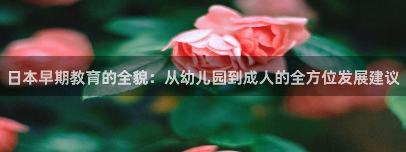 恒行2下74OO5：日本早期教育的全貌：从幼儿园到成人的全方位发展建议