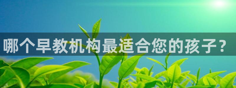 恒行2陈74OOO5：哪个早教机构最适合您的孩子？