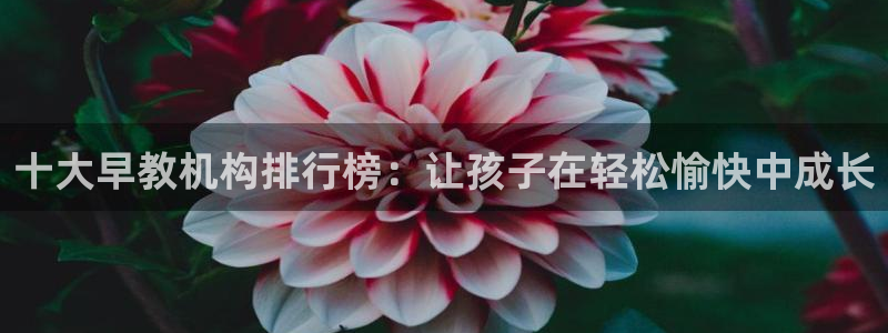 恒行2朱74OOO5：十大早教机构排行榜：让孩子在轻松愉快中成长