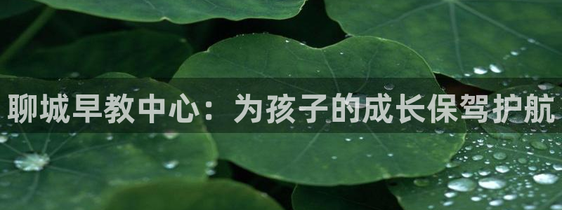 恒行3乃5O6917：聊城早教中心：为孩子的成长保驾护航