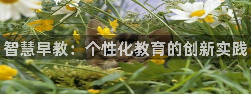 恒行2地74OOO5：智慧早教：个性化教育的创新实践