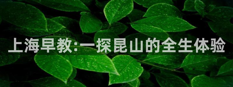 恒行2郑74OOO5：上海早教:一探昆山的全生体验